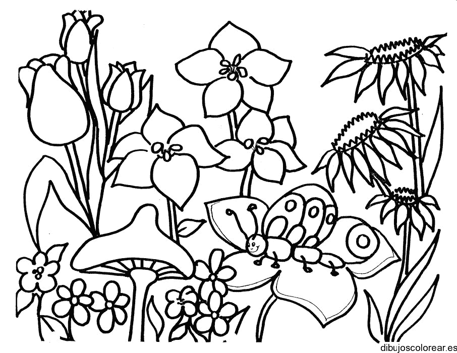 Dibujo de un insecto sobre una flor para colorear