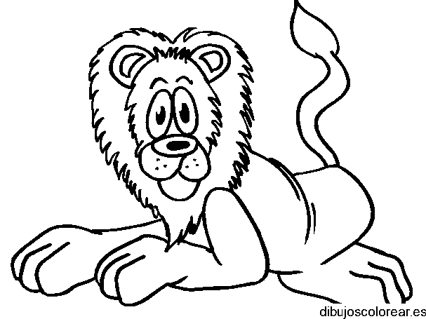 Dibujo de un león asustado para colorear