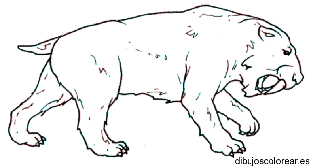 Dibujo de un león feroz para colorear
