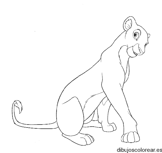 Dibujo de un león hembra para colorear