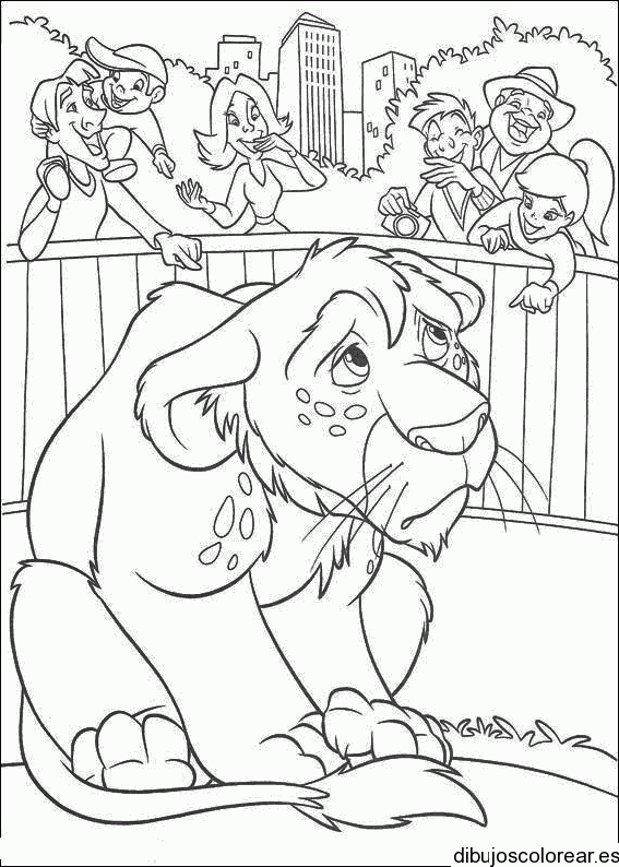 Dibujo de un león llorando para colorear