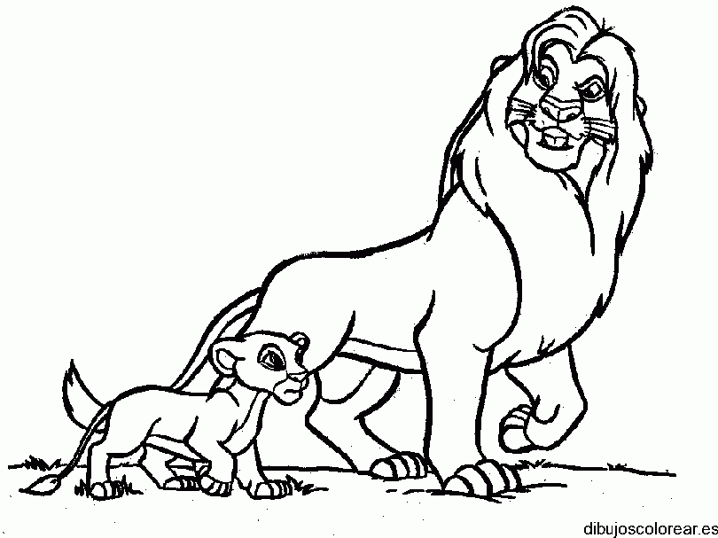 Dibujo de un león y un cachorro para colorear