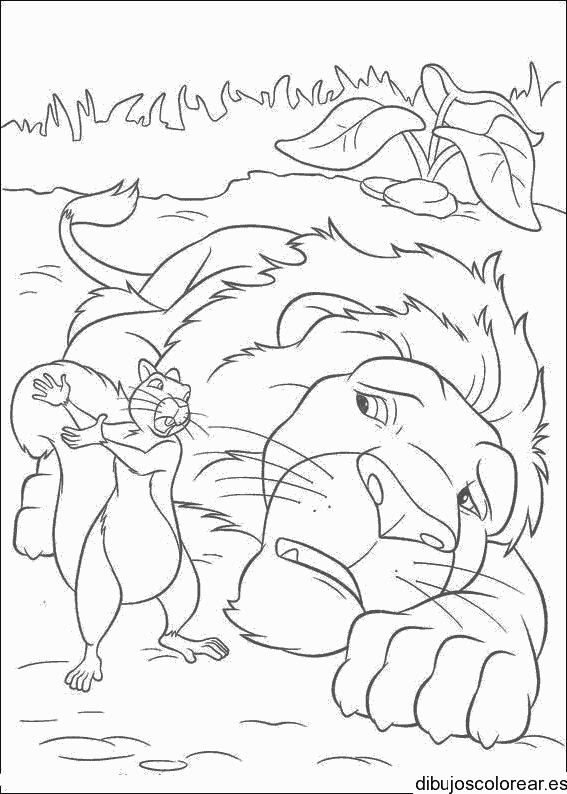 Dibujo de un león y una ardilla para colorear