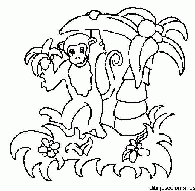 Dibujo de un mono con una banana para colorear