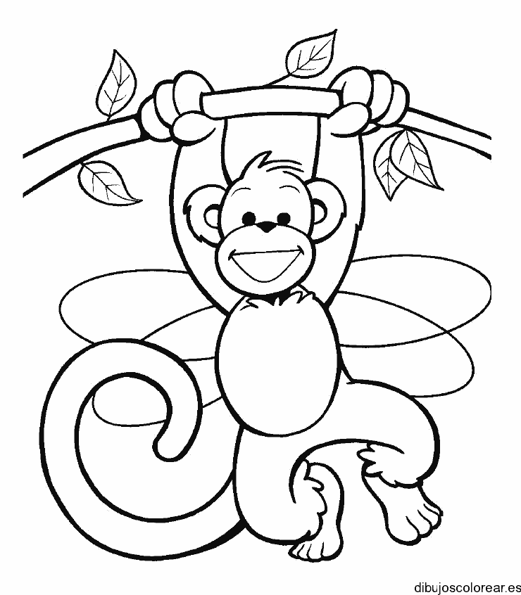 Dibujo de un mono en una rama para colorear