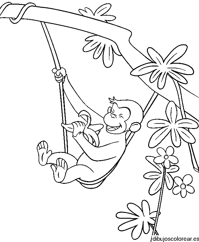 Dibujo de un mono entre lianas para colorear