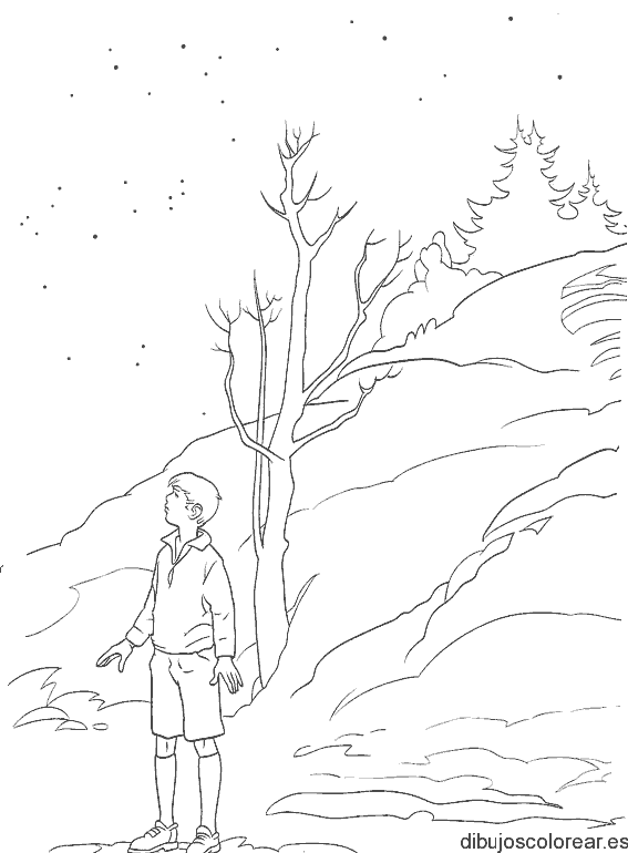 Dibujo de un niño en el bosque para colorear