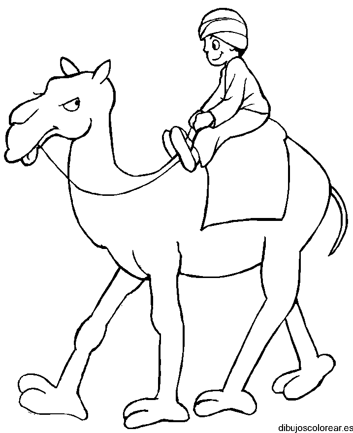 Dibujo de un niño en un camello para colorear