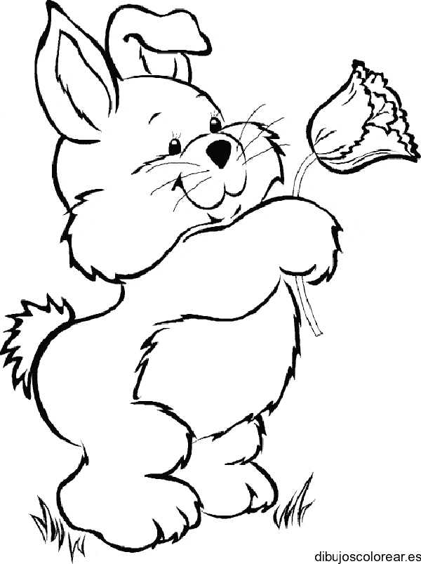 Dibujo de un osito con un clavel para colorear