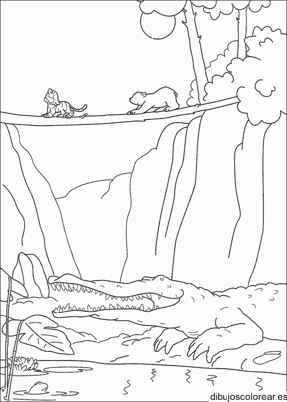 Dibujo de un oso en un puente para colorear
