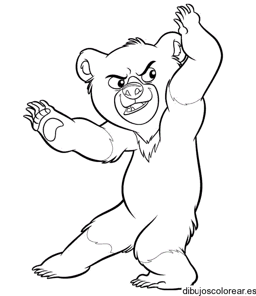 Dibujo de un oso imitador para colorear