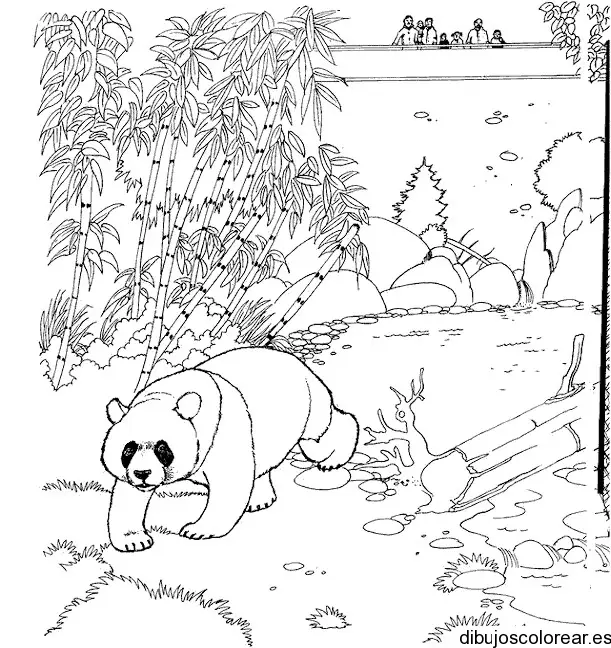 Dibujo de un oso panda en el bosque para colorear