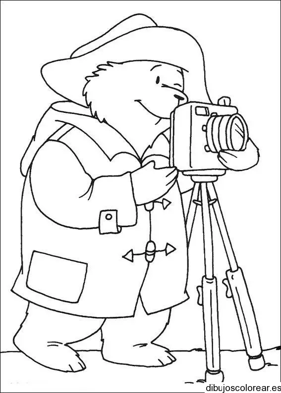 Dibujo de un oso tomando fotos para colorear
