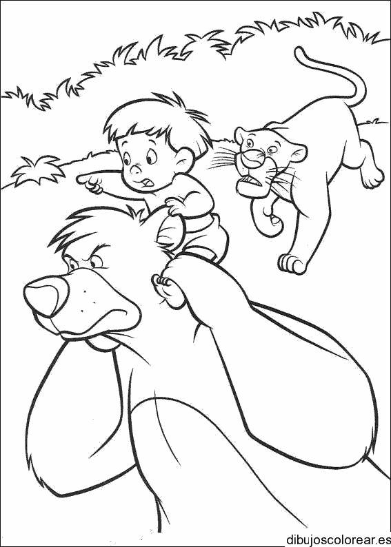 Dibujo de un oso y un león para colorear