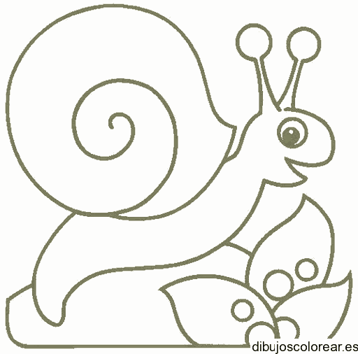 Dibujo de un pequeño caracol para colorear