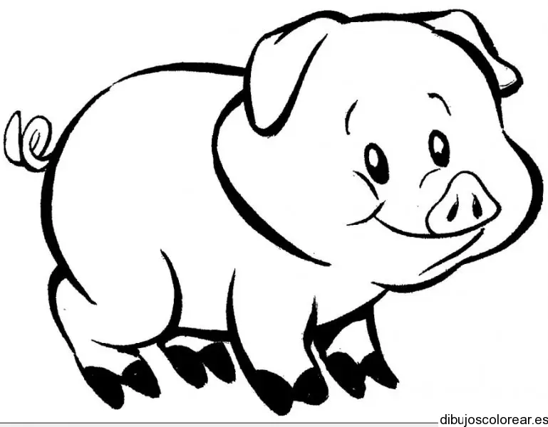 Dibujo de un pequeño cerdito para colorear