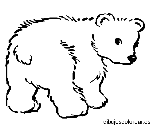 Dibujo de un pequeño oso para colorear