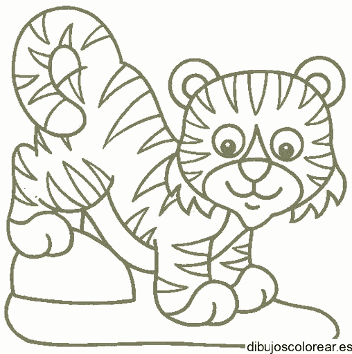 Dibujo de un pequeño tigre para colorear