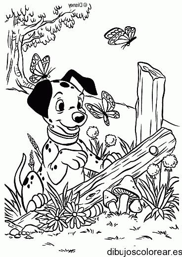Dibujo de un perro con mariposas para colorear