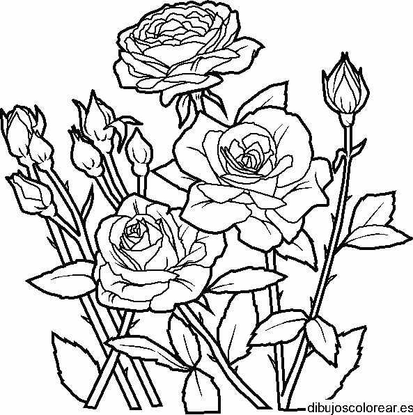 Dibujo de un ramo de rosas para mamá para colorear