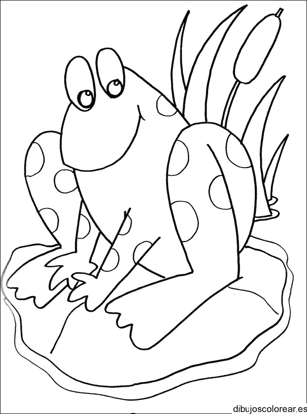 Dibujo de un sapo entre hojas para colorear