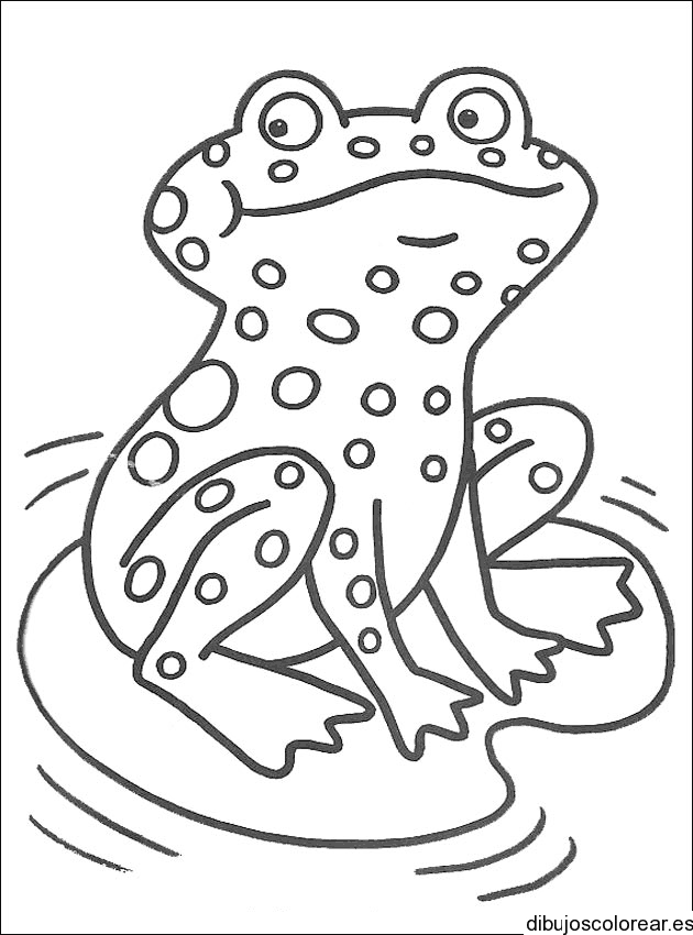Dibujo de un sapo pequeño para colorear