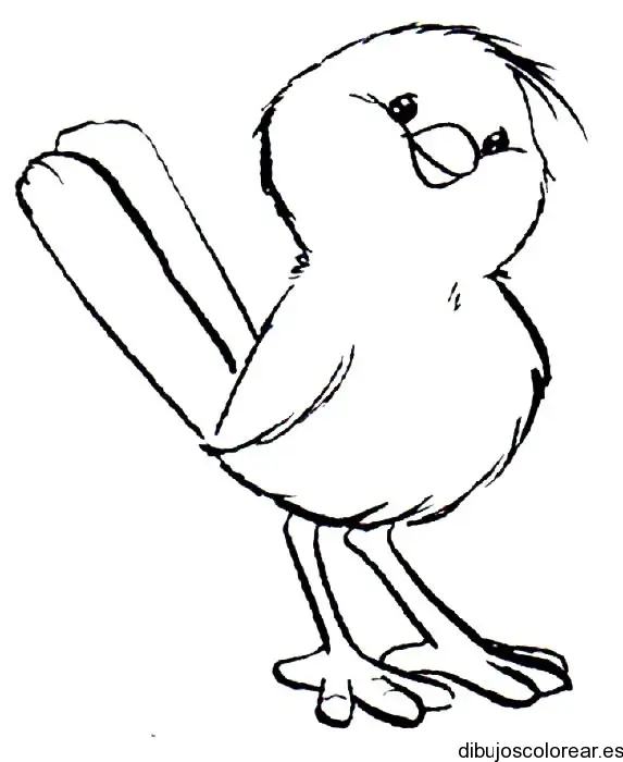 Dibujo de un tierno pollito para colorear