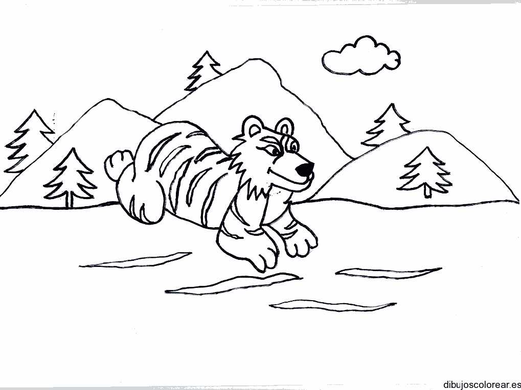 Dibujo de un tigre corriendo en las montañas para colorear