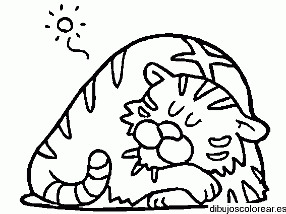 Dibujo de un tigre durmiendo para colorear