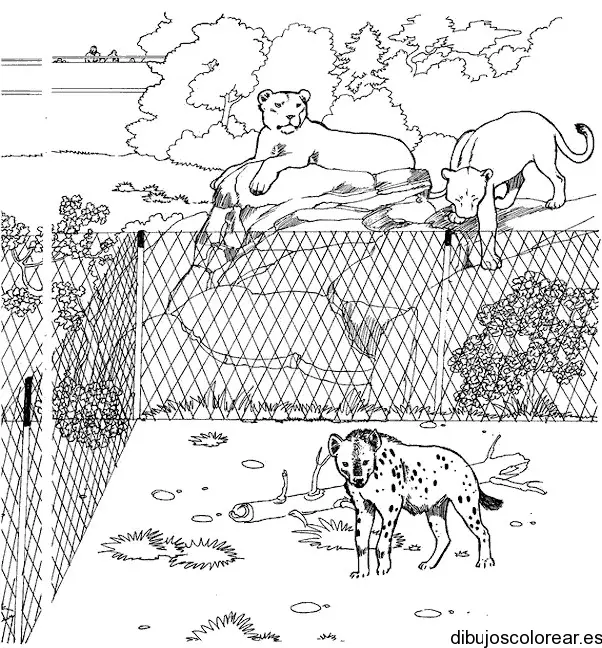 Dibujo de un tigre enjaulado para colorear