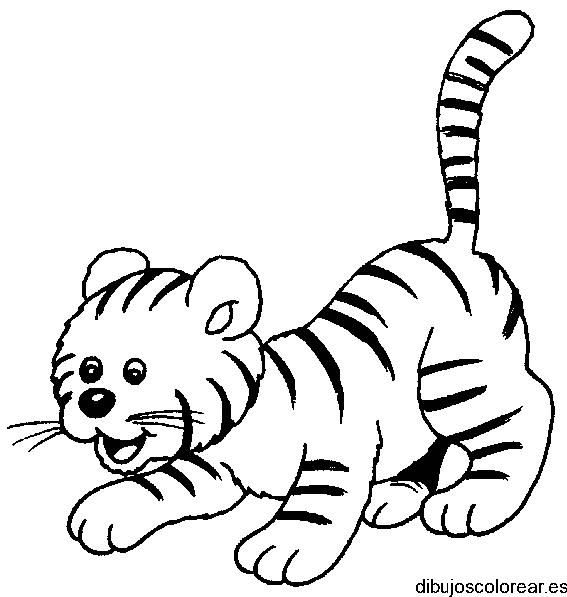Dibujo de un tigre jugando para colorear