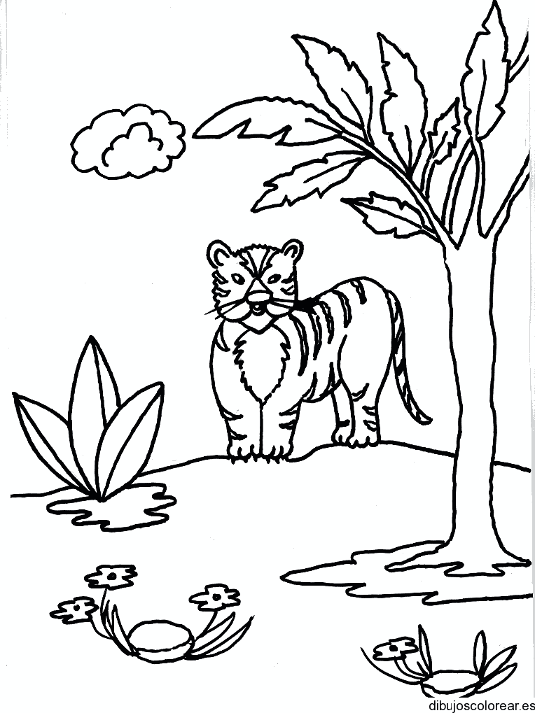 Dibujo de un tigre paseando por la selva para colorear