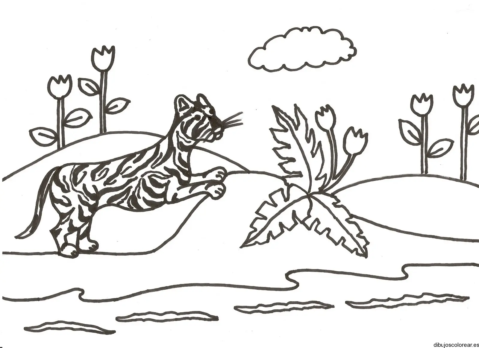 Dibujo de un tigre rugiendo por la selva para colorear