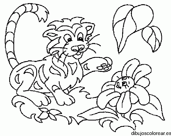 Dibujo de un tigre y una flor para colorear