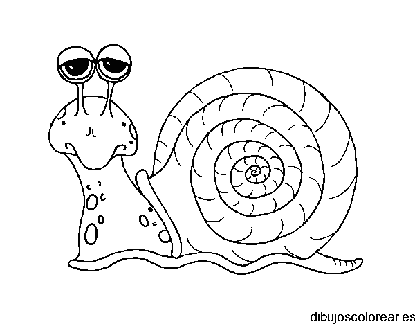 Dibujo de un triste caracol para colorear