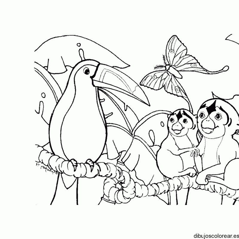 Dibujo de un tucán y monos para colorear