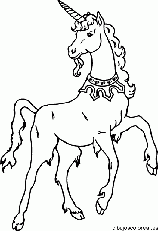 Dibujo de un unicornio con collar para colorear