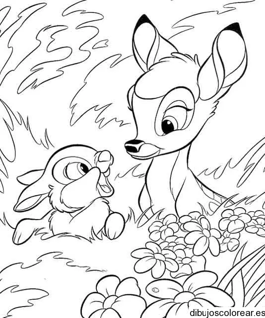 Dibujo de un venado y un conejo para colorear