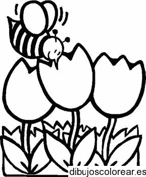 Dibujo de una abeja en las flores para colorear
