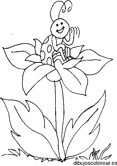 Dibujo de una abeja en una flor para colorear
