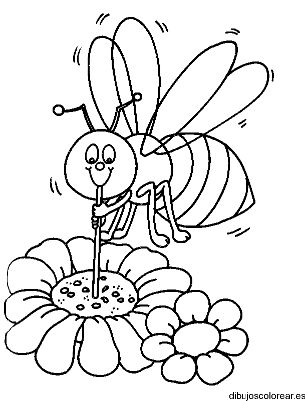 Dibujo de una abeja en una margarita para colorear
