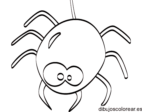 Dibujo de una araña enorme para colorear