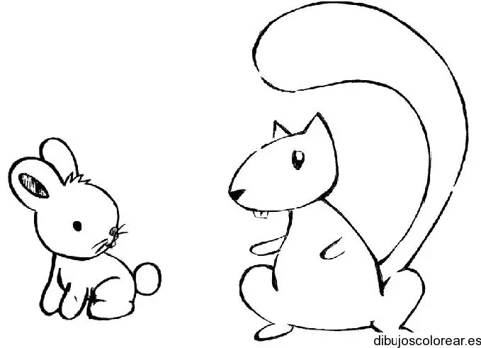 Dibujo de una ardilla y un conejo para colorear