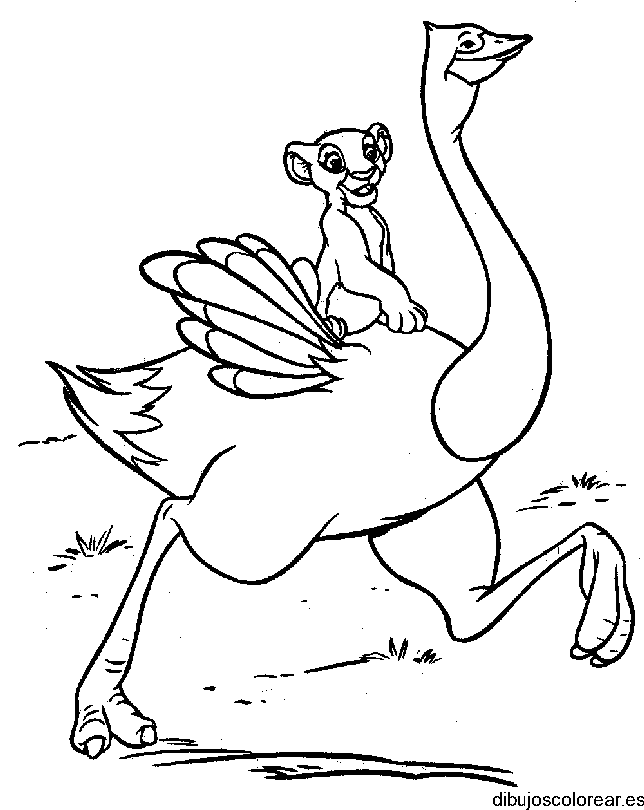 Dibujo de una avestruz y un león para colorear