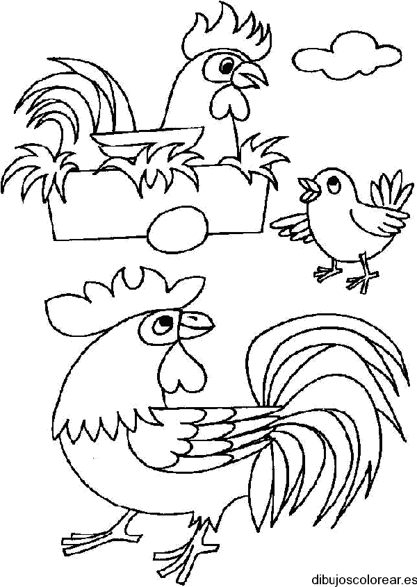Dibujo de una familia de gallinas para colorear