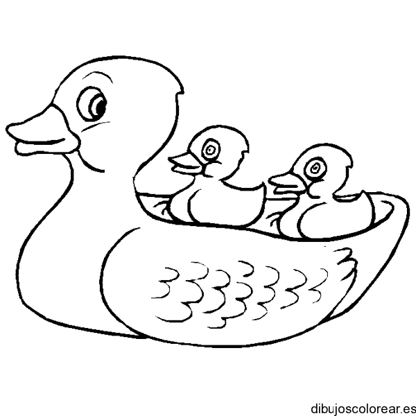 Dibujo de una familia de patos para colorear