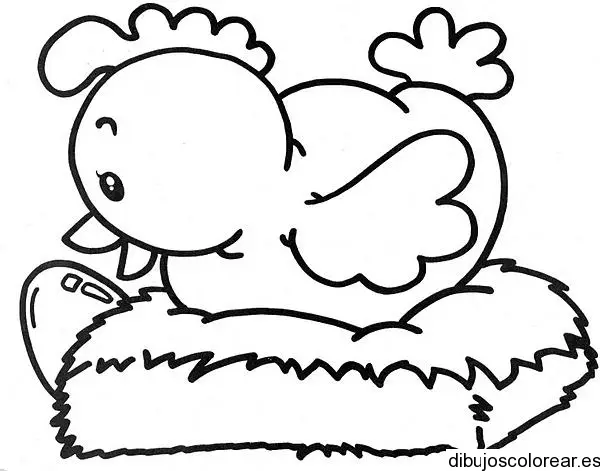 Dibujo de una gallina en gallinero para colorear