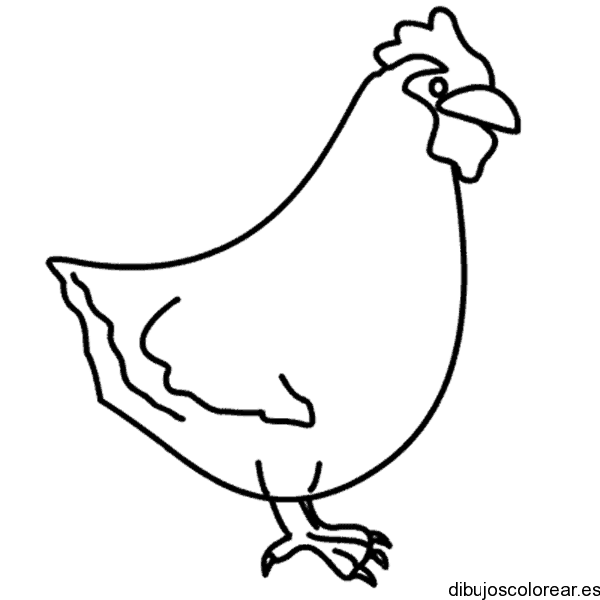 Dibujo de una gallina para colorear