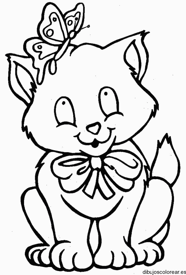 Dibujo de una gata con una mariposa para colorear