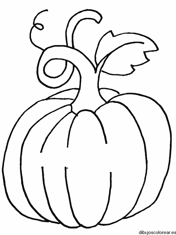 Dibujo de una gran calabaza con hojas para colorear